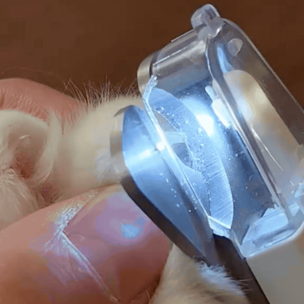 PetGlow – obcinacz do pazurów z podświetleniem LED