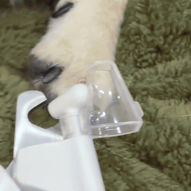 PetGlow – obcinacz do pazurów z podświetleniem LED